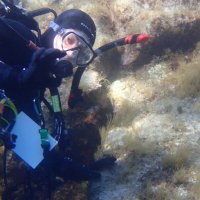 Matt Kustra, PhD (@m_kus_kus) 's Twitter Profile