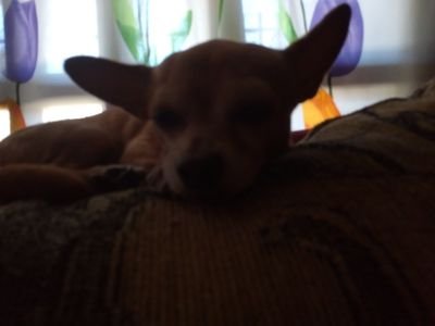 moralesmontero5's profile picture. aquí no