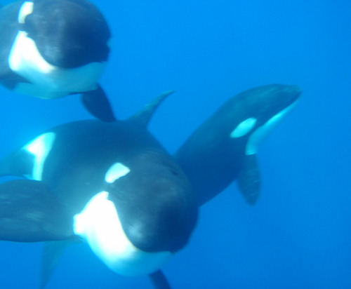 aBuchineRogers's profile picture. 