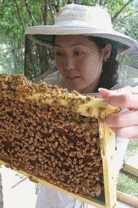 University of Nebraska-Lincoln Assistant Professor and Extension Specialist, UNL Bee Lab. I love fuzzy bees, science and art.