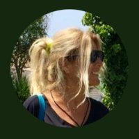 Sibel Oktav(@sibeloktav) 's Twitter Profile Photo