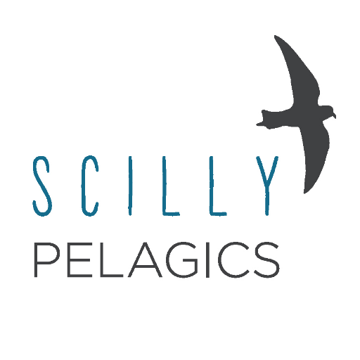 Scilly Pelagicsさんのプロフィール画像