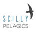 Scilly Pelagics (@Scillypelagics) Twitter profile photo
