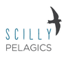 Scillypelagics's profile picture. Seabird multimedia ID guides, pelagics off Scilly, pelagic expeditions worldwide.