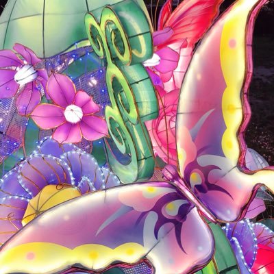 mostlynotthere's profile picture. 