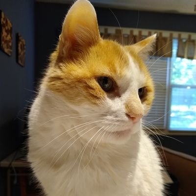 whitneyfarnham's profile picture. 