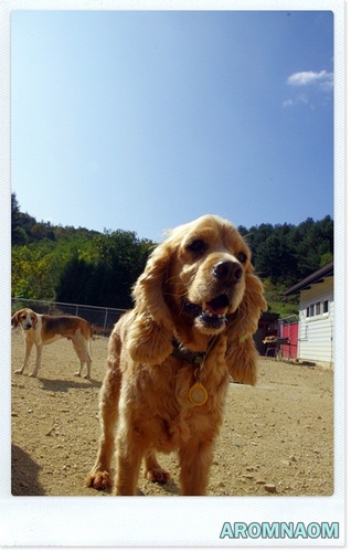 luvdoah's profile picture. 