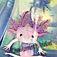The Axolotl Diaries(@AxolotlDiaries) 's Twitter Profile Photo