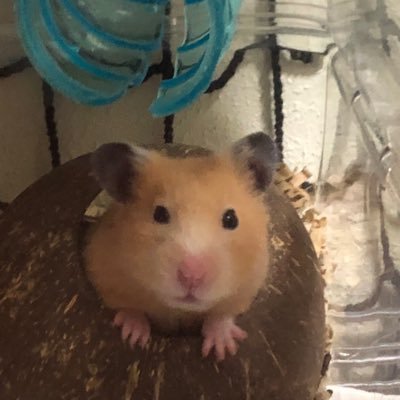 たっくさんのプロフィール画像
