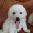 candy_jae33's profile image