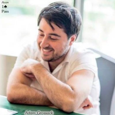 Pro Bridge Player/Teacher. Poker/Chess hobbyist.