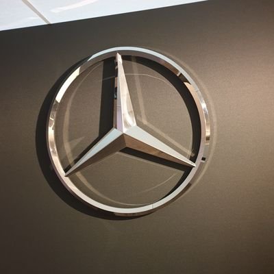 DaveBri87804916's profile picture. 