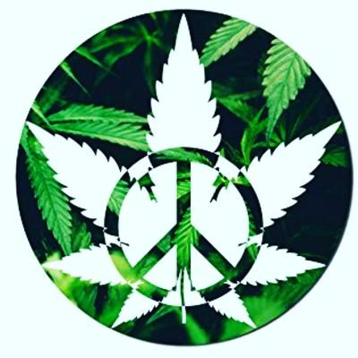 hydropotnicks's profile picture. Cannabis consultant and advocate.