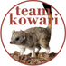TeamKowari (@teamkowari) Twitter profile photo TeamKowari (@teamkowari) Twitter profile photo