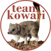 TeamKowari (@TeamKowari) Twitter profile photo