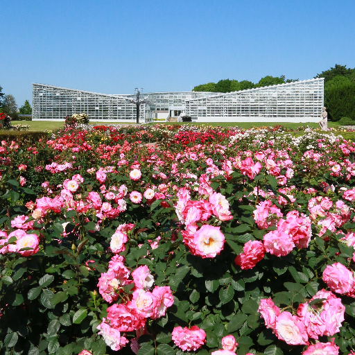 都立神代植物公園の園長ほかスタッフからの植物公園の採れたて情報を提供します。 ＊リプライやフォローなどには対応しておりません。ご了承ください。 ＊都立神代植物公園の公式アカウントです。Tokyo Botanical Gardens Jindai