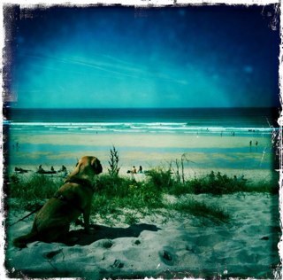 lwp888's profile picture. 