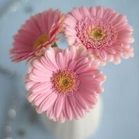 ود (@ezh0mxic8ocj7u3) 's Twitter Profile