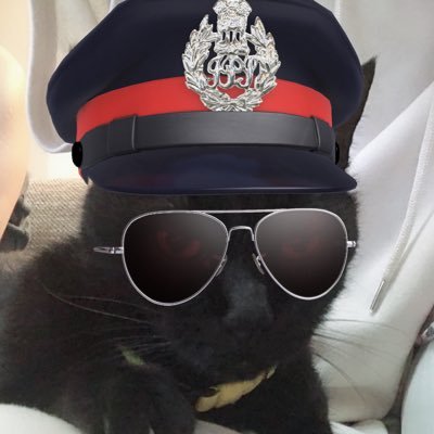 catsnyaan's profile picture. ゲームと声優と猫とカフェ巡りとドライブが趣味。MINX-RIDE（＠minxride）/ RIDER KICKS