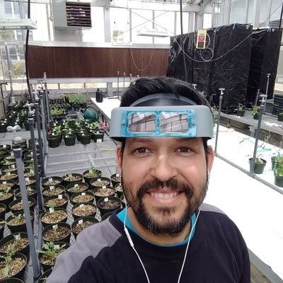 Ecólogo evolutivo de semillas. Rata del Desierto Sonorense./Seed evolutionary ecologist. Sonoran desert rat.  Associate Editor of the American Journal of Botany