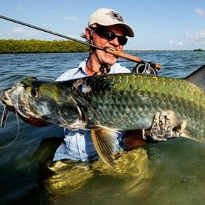 I found very interesting fishing goods