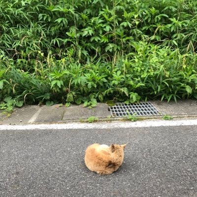 ★令和7年度宅地建物取引士試験受験予定(LEC岡山本校)→イマココ
★令和7年度 社会保険労務士試験受験済(LEC)
★令和5年度行政書士試験合格(LEC 大髙坂クラス)