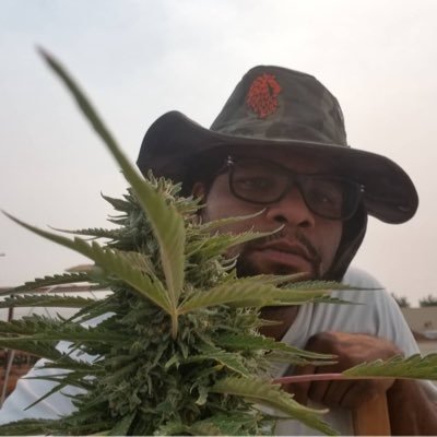 Grower and distributor of top quality cannabis products. Vape pens, CBD oils, wax, and a variety of cannabis strains. Text me in case you need anything💨🌱 #420