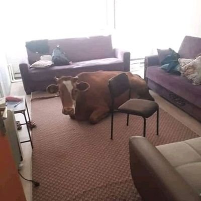 1ConfidenceM's profile picture. Peaceful