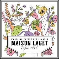 Maison LAGET, l'Artisan Expert des Plantes depuis 1946 ❤
🇨🇵 Made In France 🇲🇫