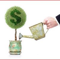 🦭/acc alex (@alerts17) 's Twitter Profile