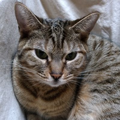 8Og1yYCPymkaHU6's profile picture. 