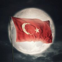 m.celal kul (@celalkul) 's Twitter Profile
