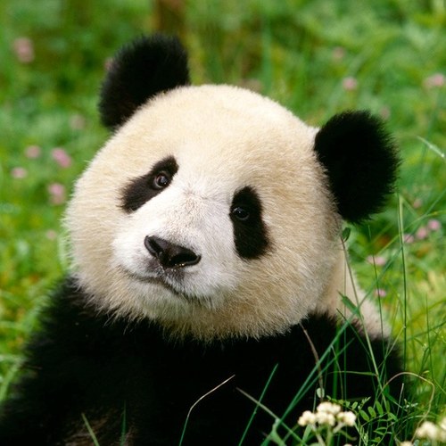 rocomoco1000's profile picture. 一日の合間にはつぶやく。楽しんでいろいろな方のつぶやきを見ていきます。
１００％フォローします。。よろしくお願いします。