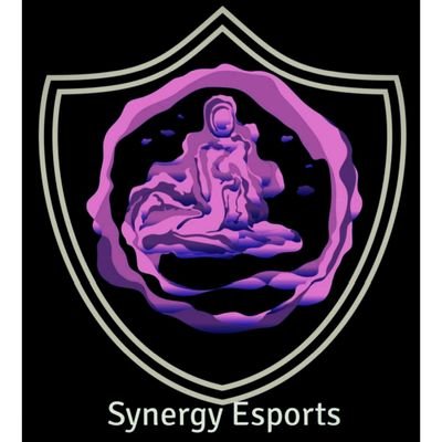 VPG SYNERGY Profile
