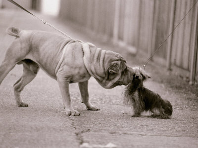 wynniecheong's profile picture. A ship in the harbour is safe, but that's not what the ship is built for.