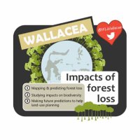 IFLWallacea (@iflwallacea) 's Twitter Profile