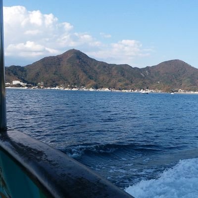 ウォキさんのプロフィール画像