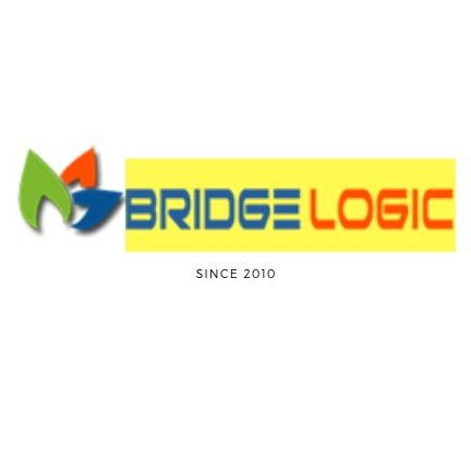 BridgeLogic Software Profile