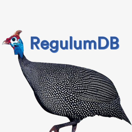 RegulumDB is a database for people who understand the long term value of clean, well structured data. Join the data-centric revolution!