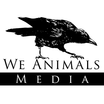 We Animals Media brings visibility to hidden animals through compelling photo and videojournalism. Founded by Jo-Anne McArthur.