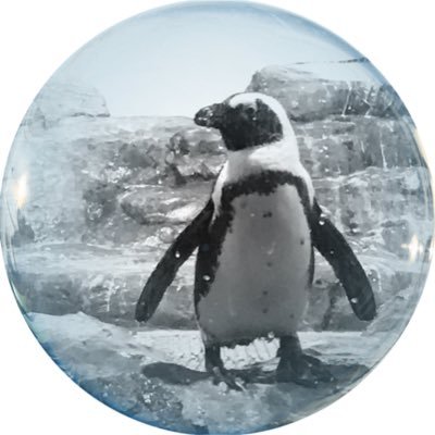 【動画制作】【webサイト制作】【システム開発】【一緒に仕事できる仲間募集中】🐧🐧※各種ご相談はDMまでお願いします🐧