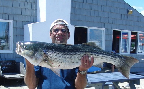 Leotriolo's profile picture. It is what it is. Now how can I make it work for me instead of against me. I am a retired financial services professional. Conservative.