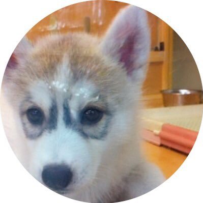 ポピンさんのプロフィール画像