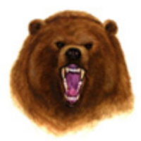 Browning Springs Middle School (@bsmsbears) 's Twitter Profile