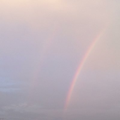 lnmhws's profile picture. what if this 𝘪𝘴 the best version?