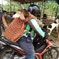 reza_yopita's profile picture. 