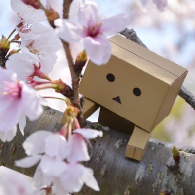 里桜さんのプロフィール画像