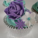 Danielle Harte - @DanielleH421 - Twitter