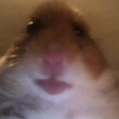 ViiiperZ1337's profile picture. „E” is' auf englisch „𝐸” — Abkürzung für Ecstasy
Und Ecstasy macht horny, deshalb wollen die ʙɪᴛᴄʜᴇs Sex with me   (Dein Dad)

Csgo Legende