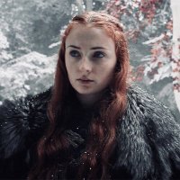 little songbird (@icywallflower) 's Twitter Profile